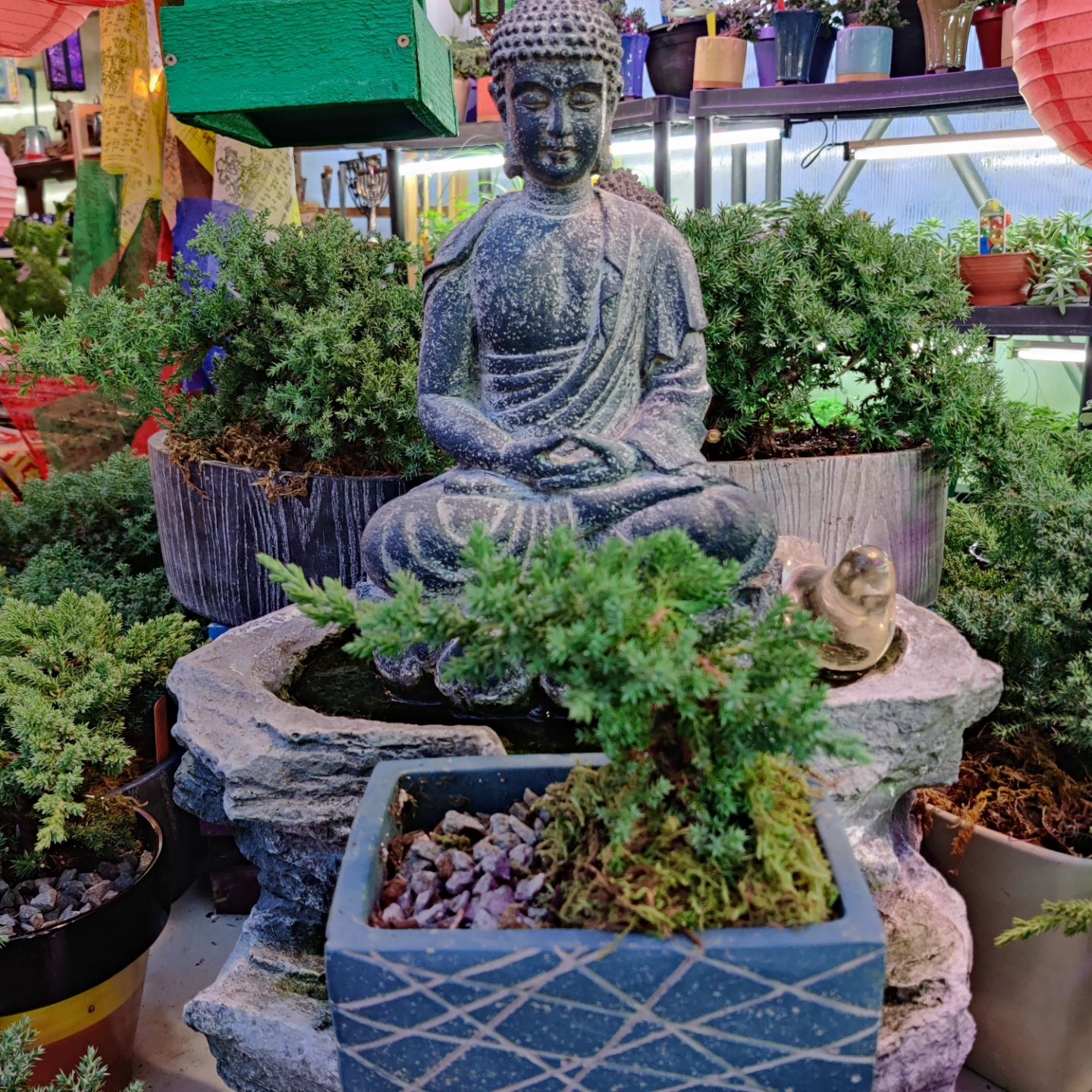 Round table with Bonsai at Mile 5.2 Greenhouse