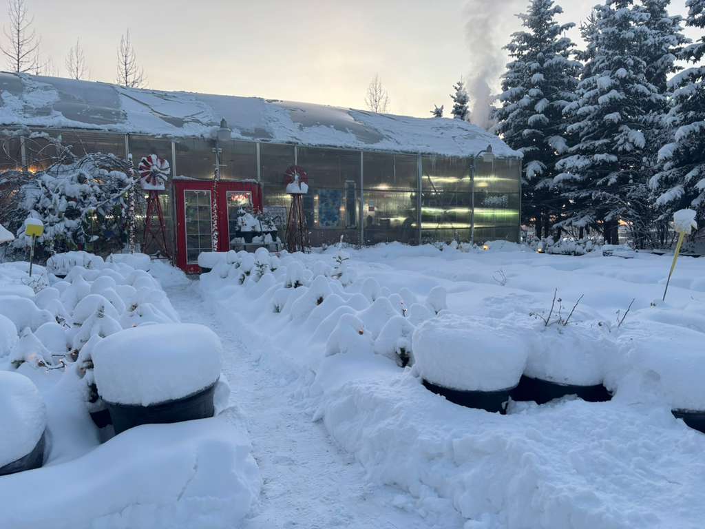Snowy exterior of Mile 5.2 Greenhouse